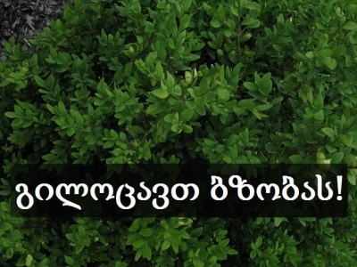 სურათი